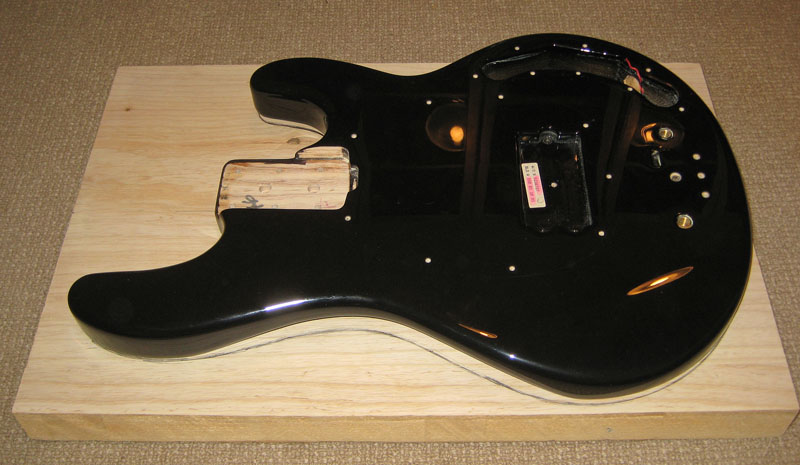 stingraybody-01.jpg