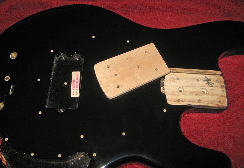 stingraybody-07.jpg