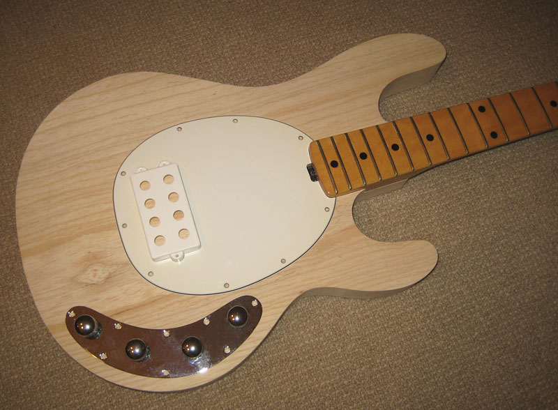 stingraybody-15.jpg