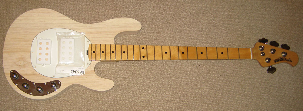 stingraybody-16.jpg