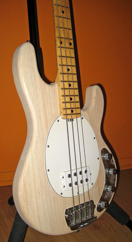 stingraybody-22.jpg