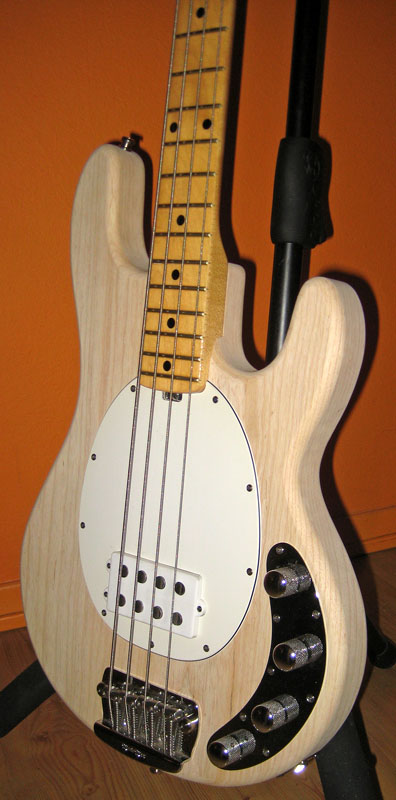 stingraybody-23.jpg