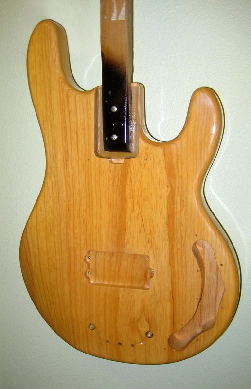 stingraybody-29.jpg