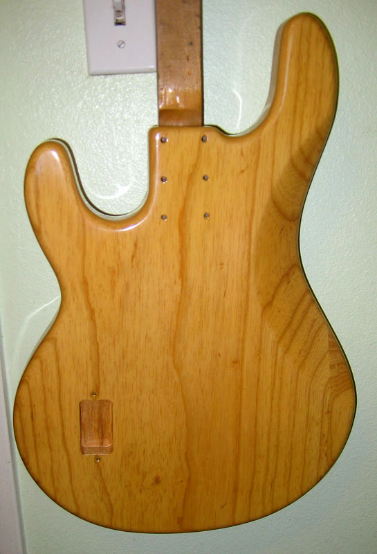 stingraybody-30.jpg