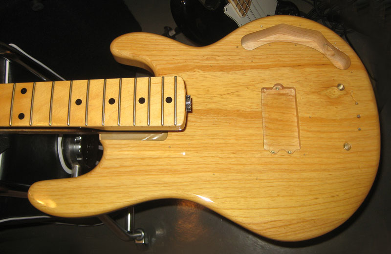 stingraybody-31.jpg