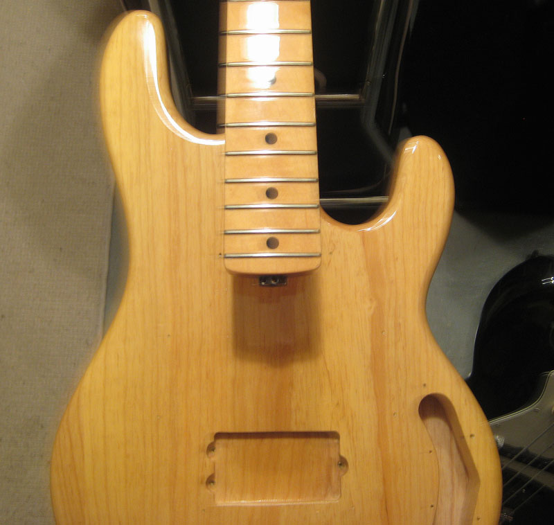 stingraybody-32.jpg