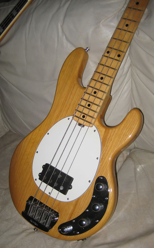 stingraybody-39.jpg