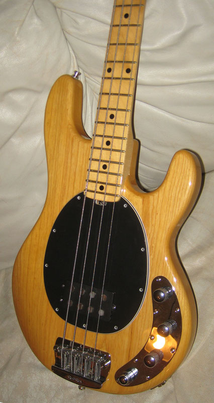 stingraybody-44.jpg