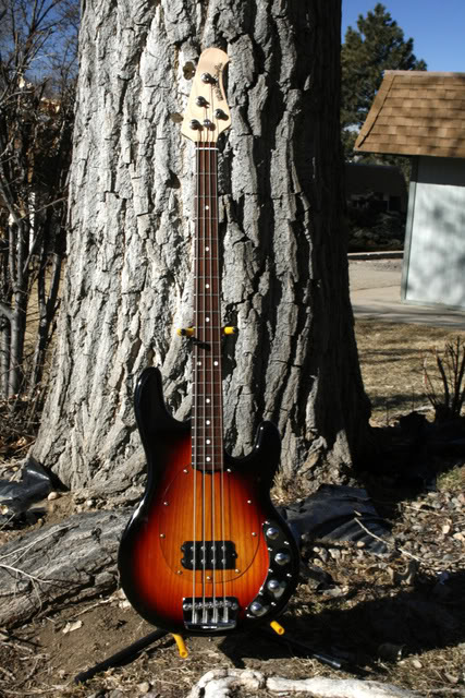 StingrayII023.jpg
