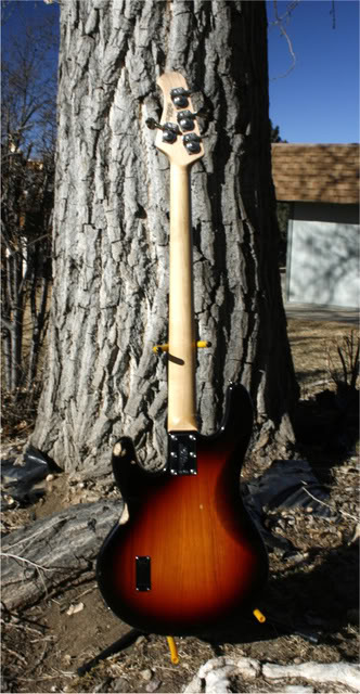 StingrayII026.jpg