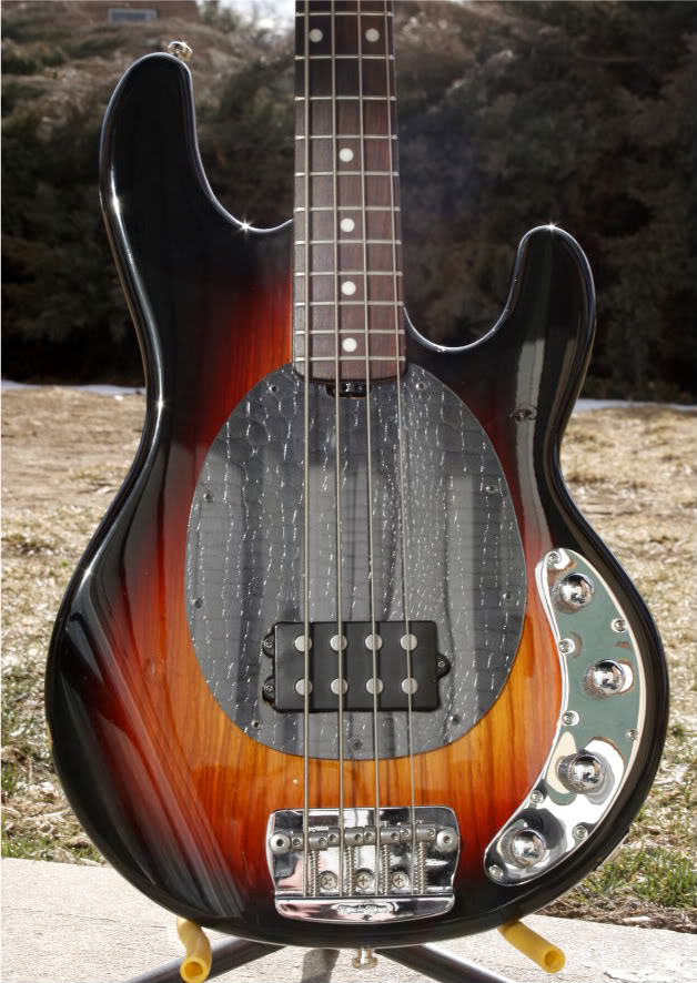 StingrayII047.jpg