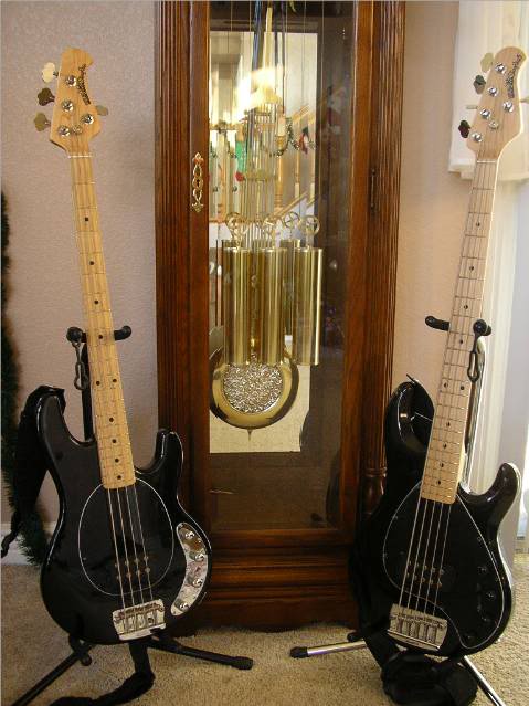 stingrays640.jpg