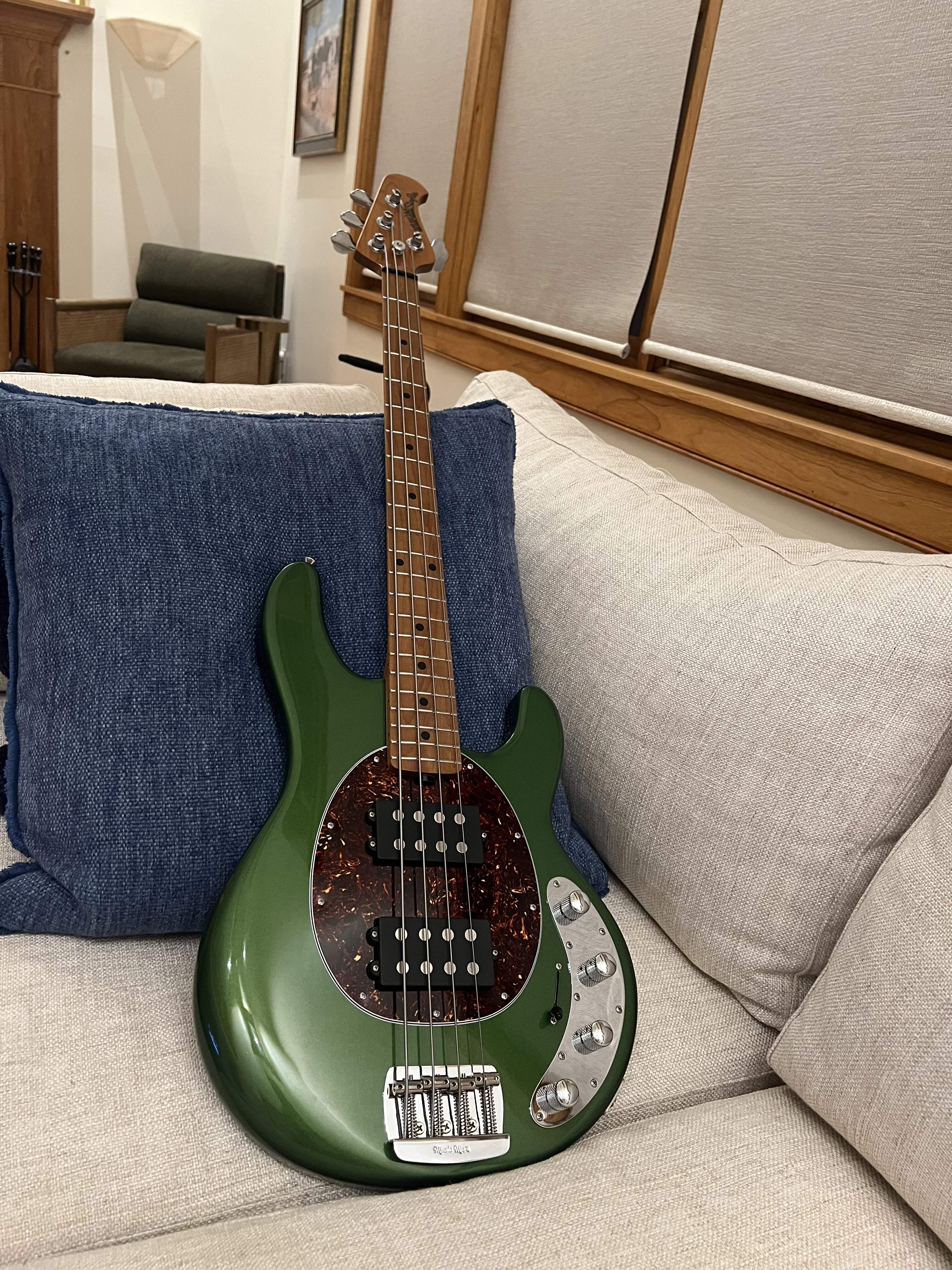 stingraySpecialMG_0440.jpg