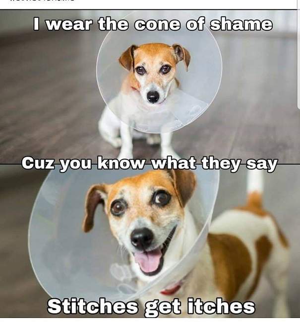 stitches itches.jpg