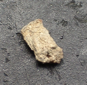 Stone-1_zps4581b008.jpg