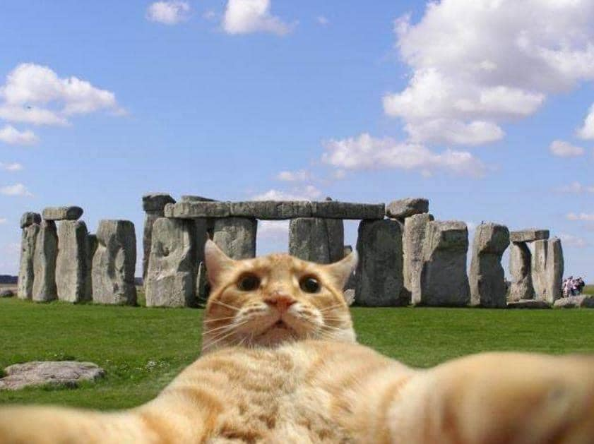stonehenge cat.png
