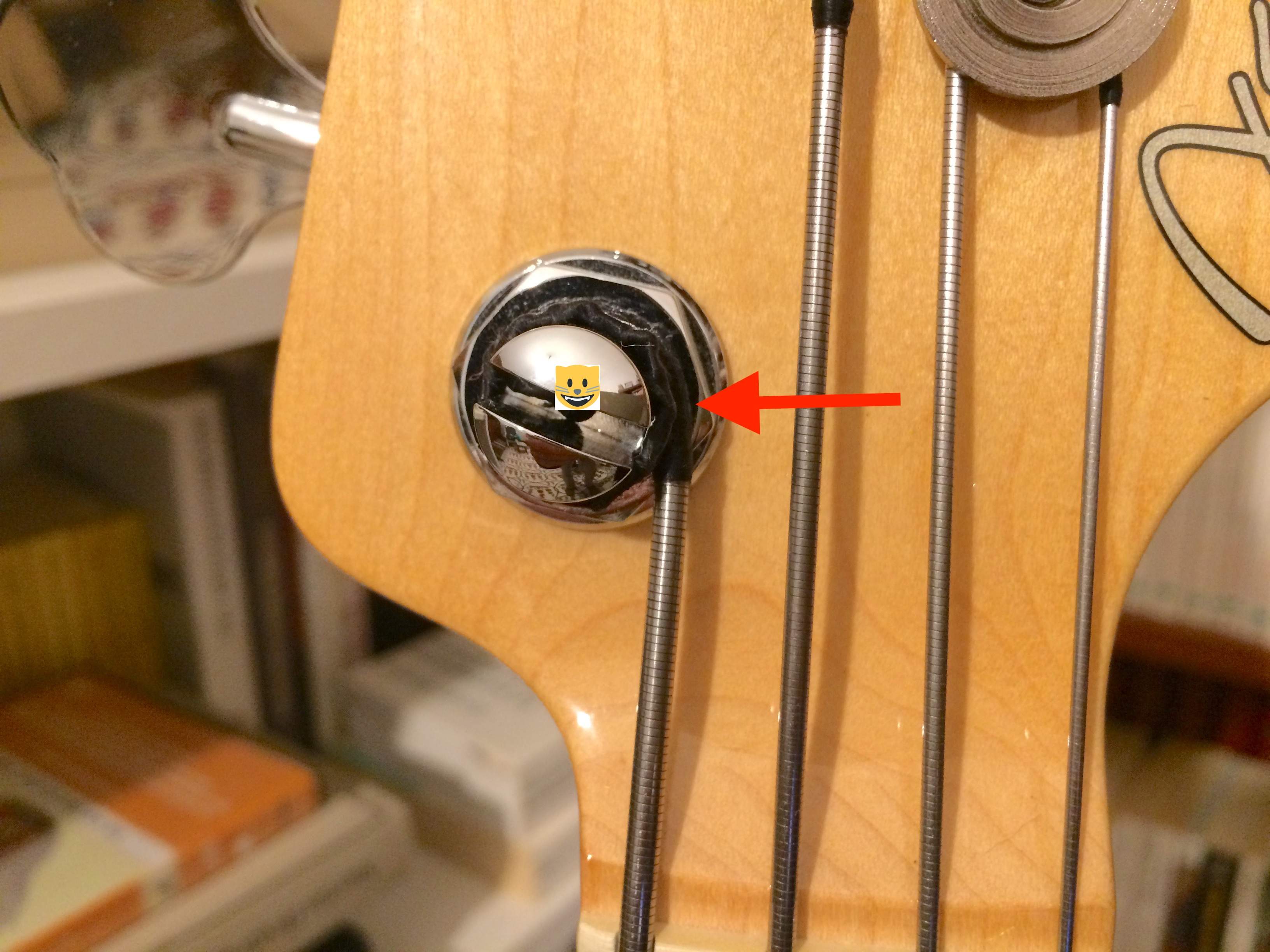 straight cat strings.JPG