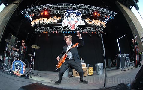 Stray_Cats_Web.jpg