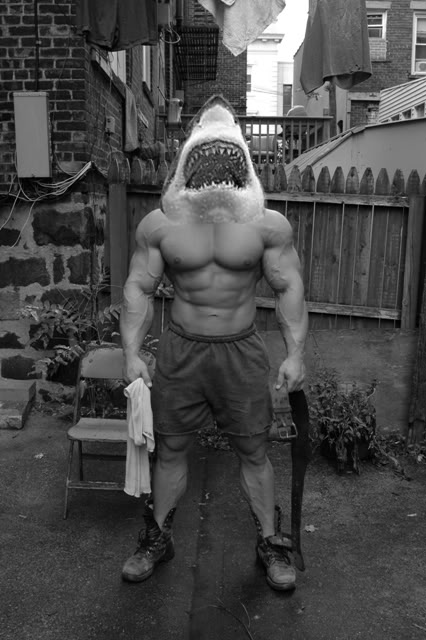 StreetShark.jpg