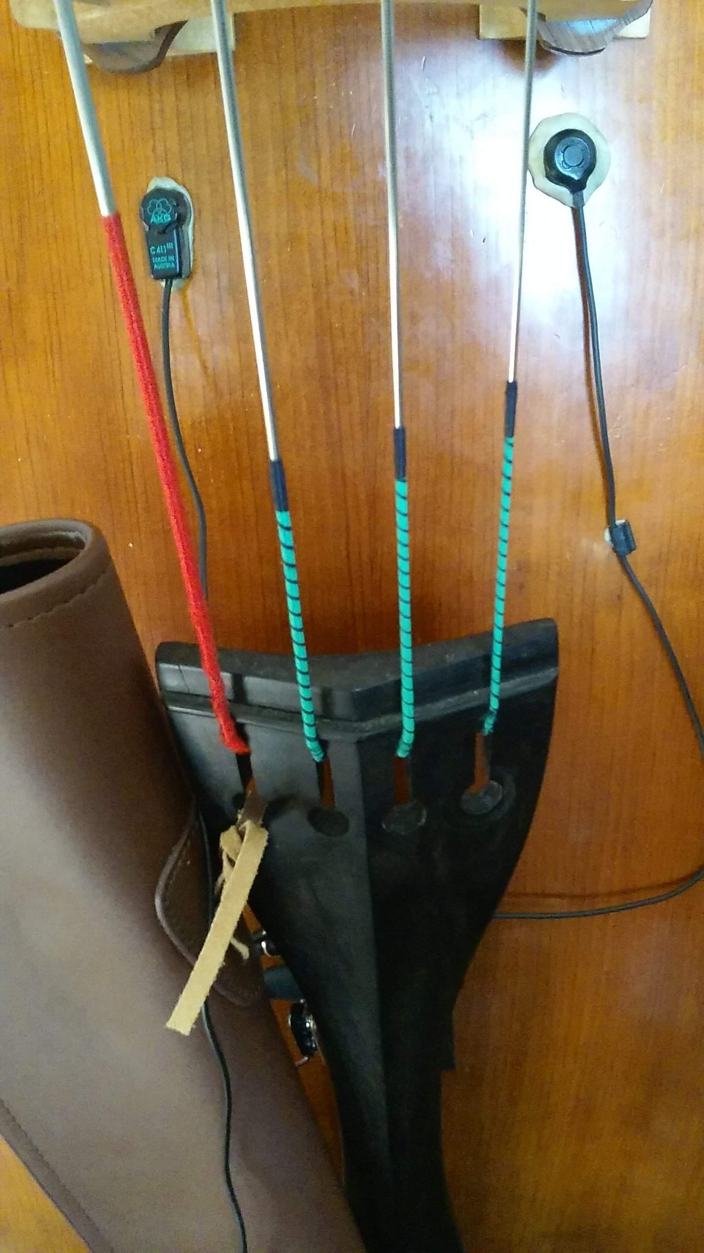 Strings and Mics.jpg