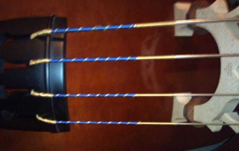strings1.jpg