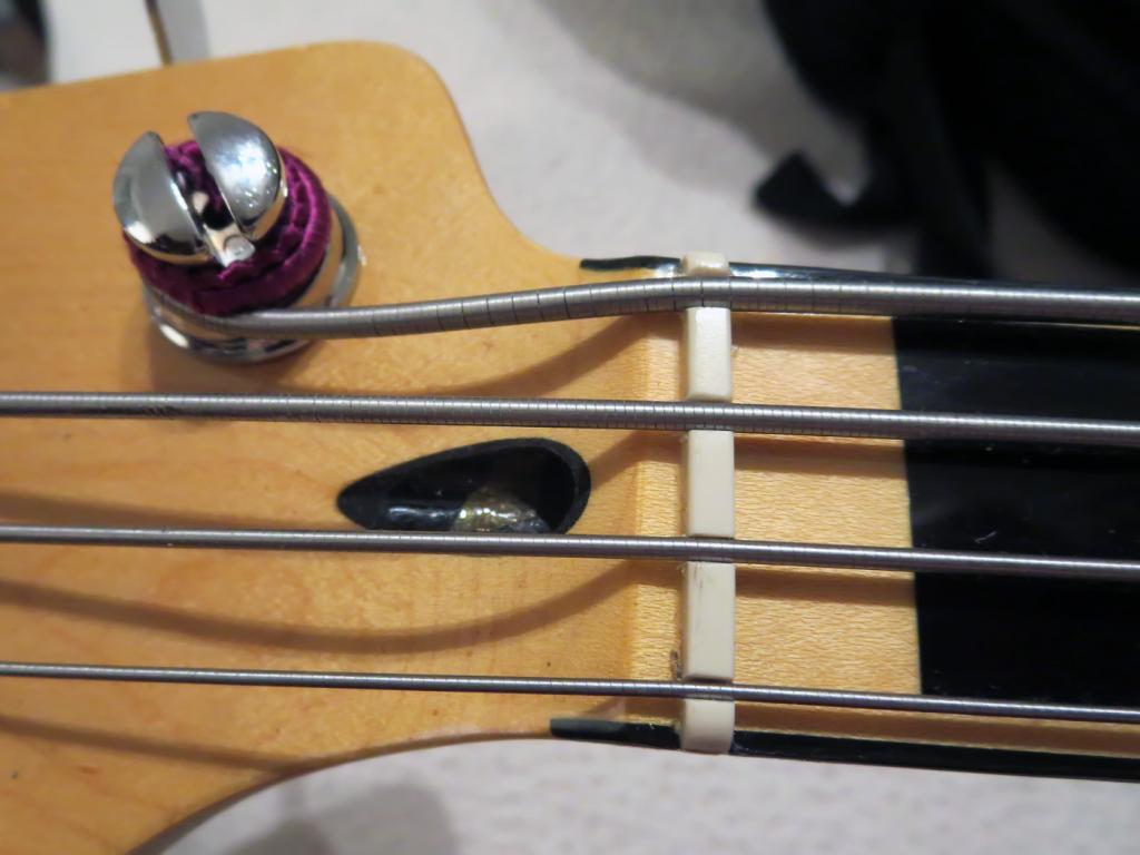 strings1.jpg