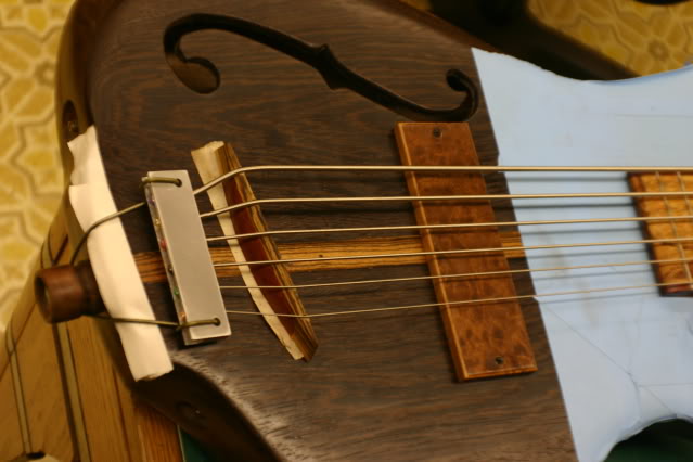 stringup002.jpg