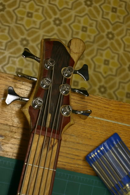 stringup003.jpg