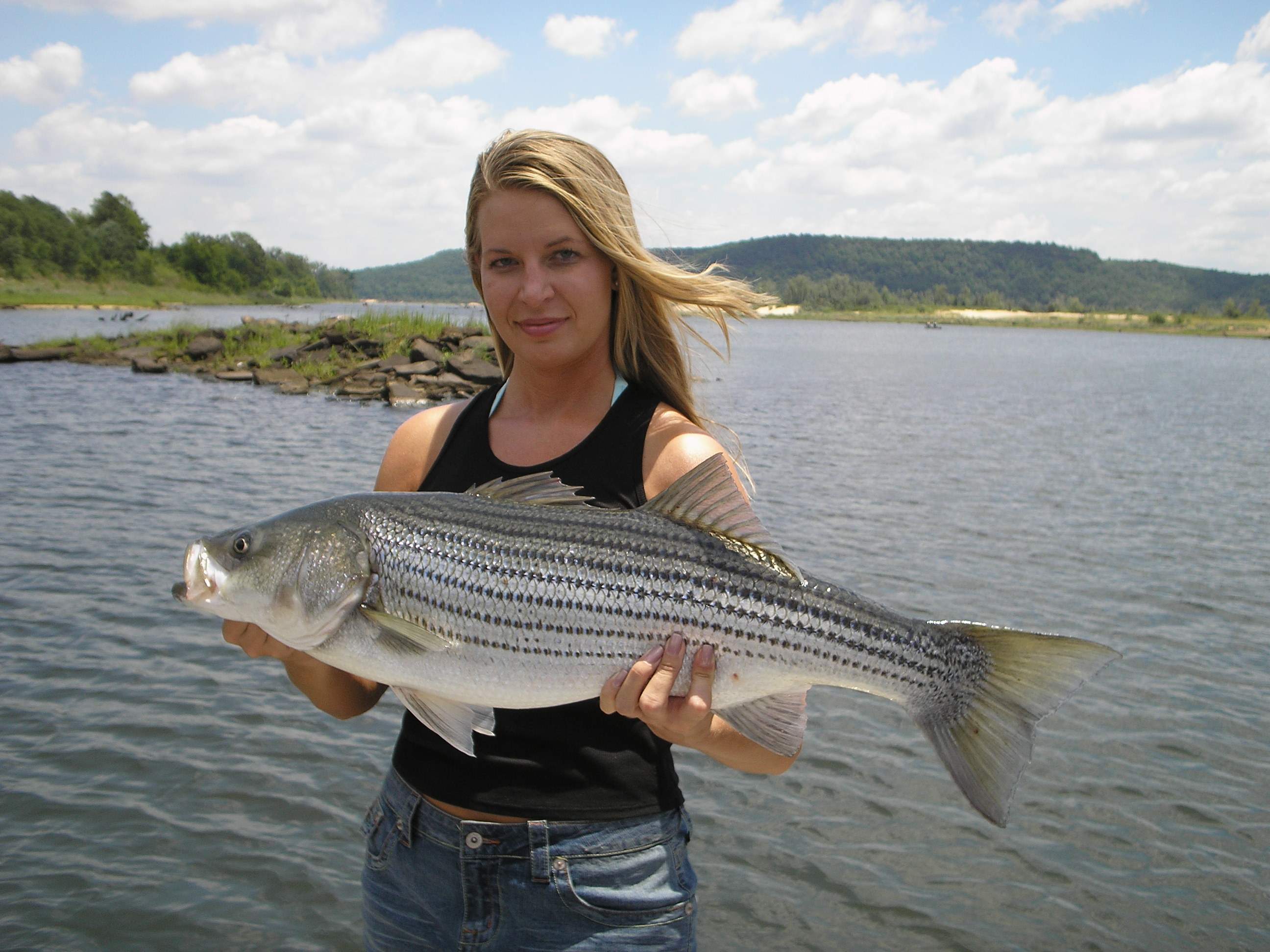 striped bass.JPG
