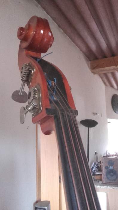 Strunal_3.jpg