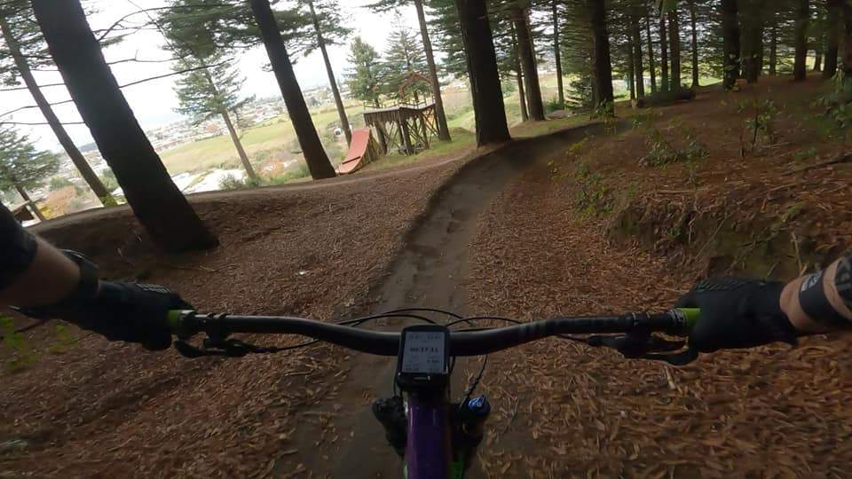 stumpy cranx.jpg