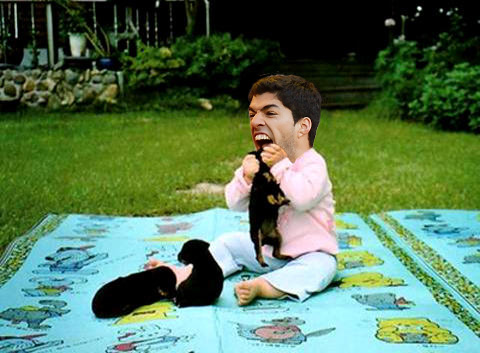 Suarezpuppy_zps1b846db4.jpg