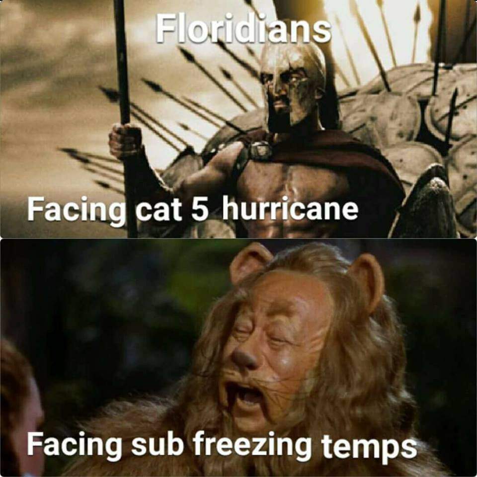 sub frz.jpg
