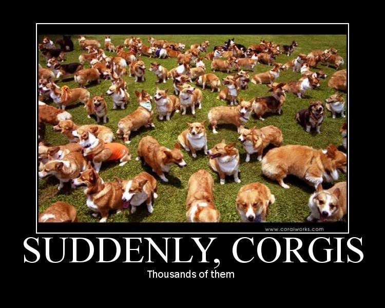suddenly-corgis.jpg
