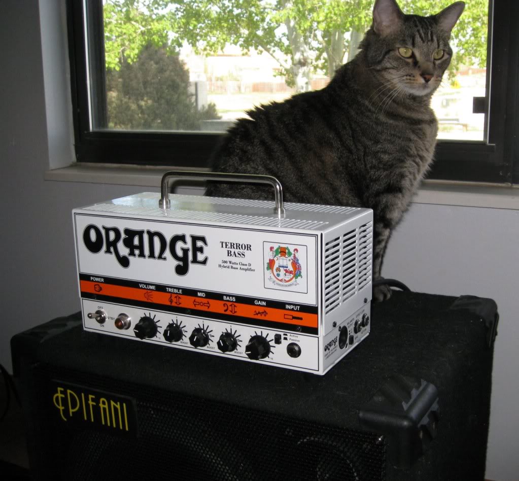 SugarOrange.jpg