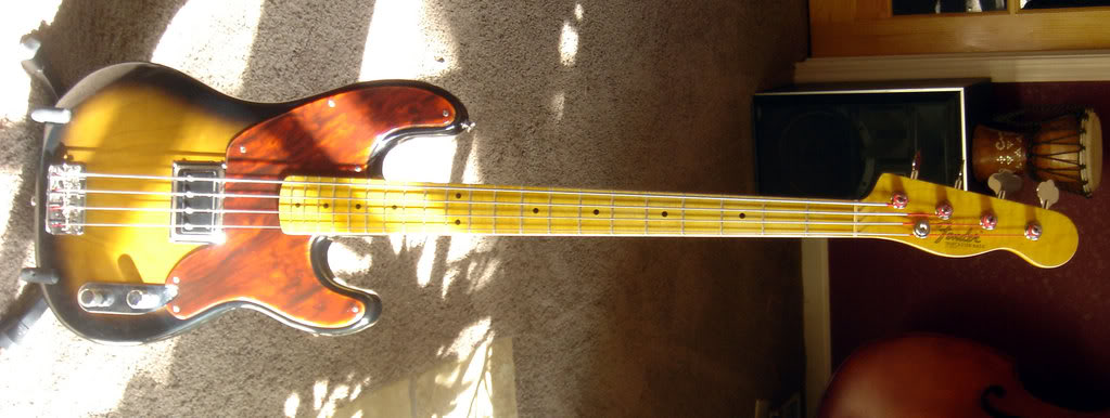 sun-bass.jpg
