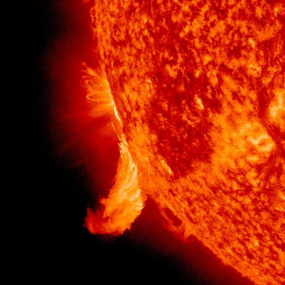 sun1.jpg