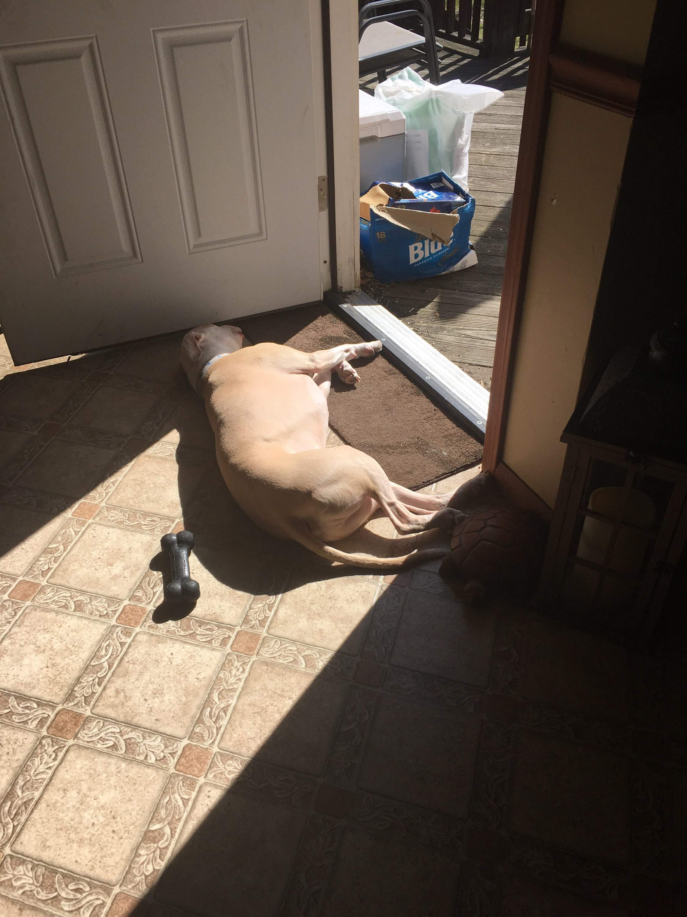 sunbeam.jpg