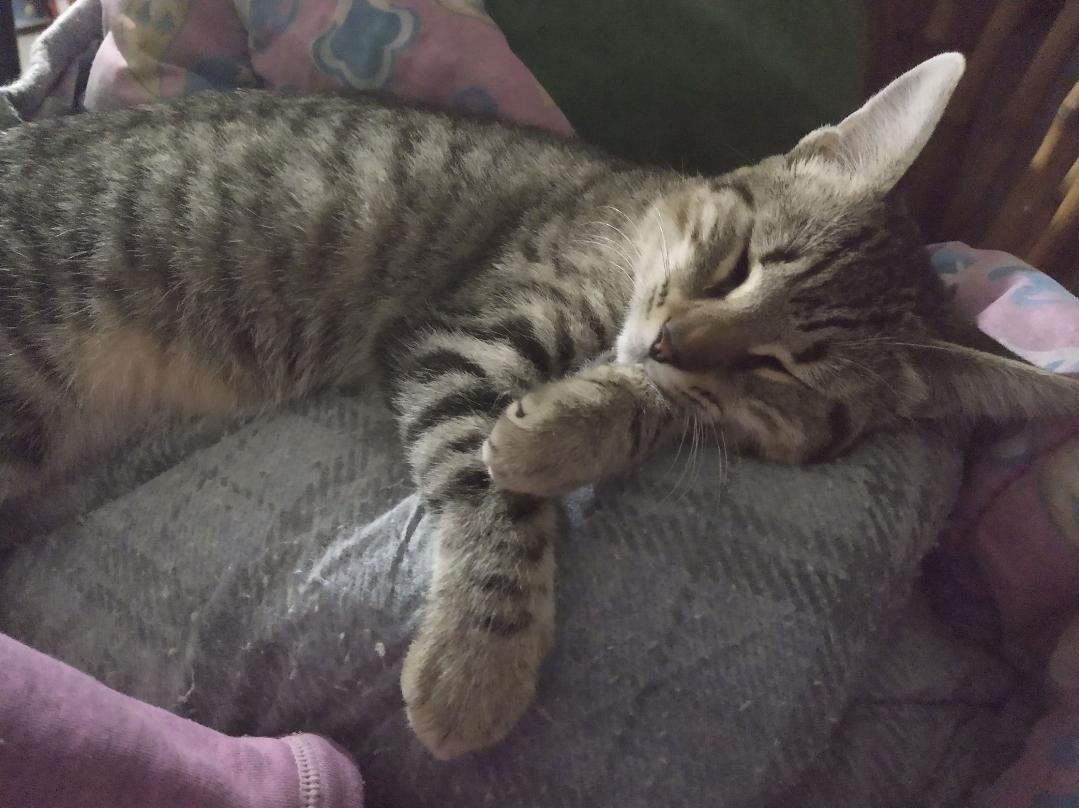 Sunday chill.jpg