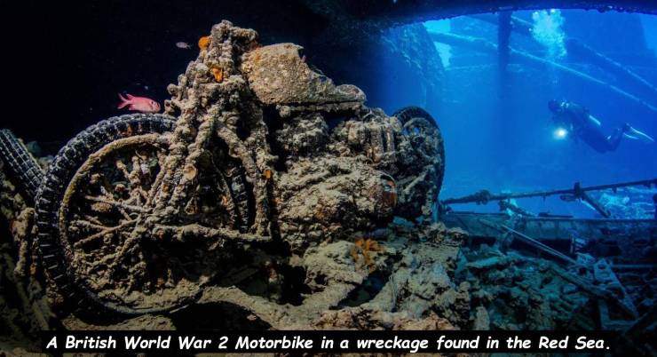 sunk bike.jpg