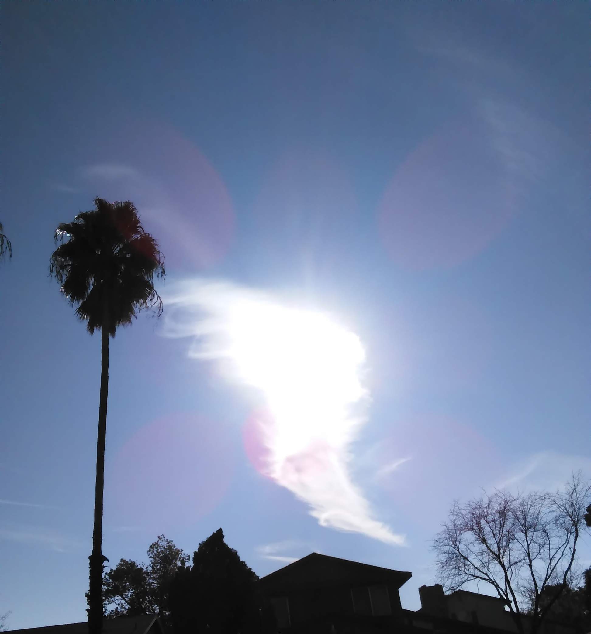 Sunlit Cloud - 12-19-2017 - Cropped.jpg