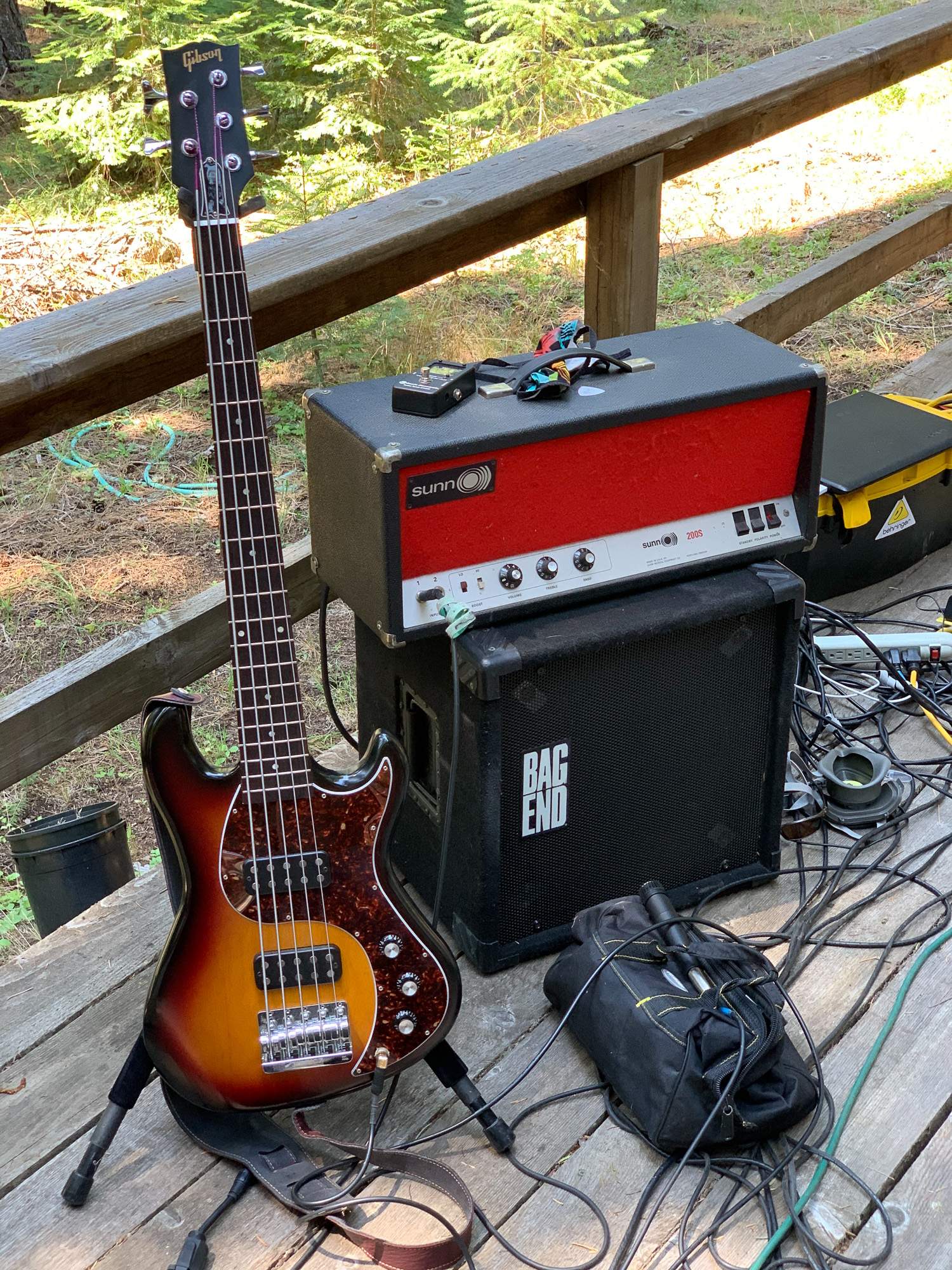 sunn-gibson-1.jpg