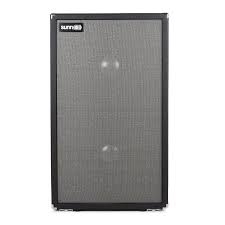 sunn gtr1.jpg