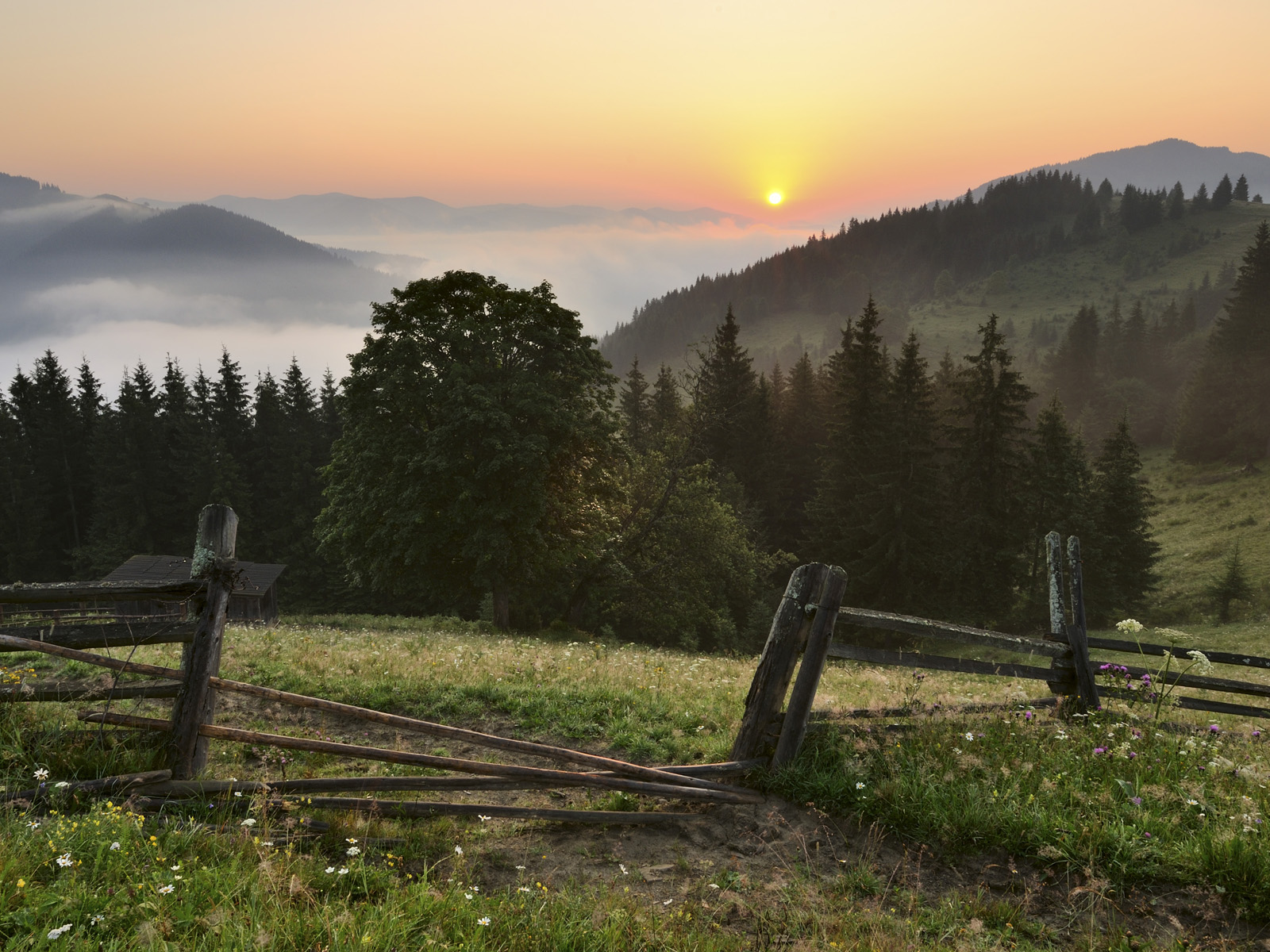 sunrise__dzembronya__ukraine.jpg