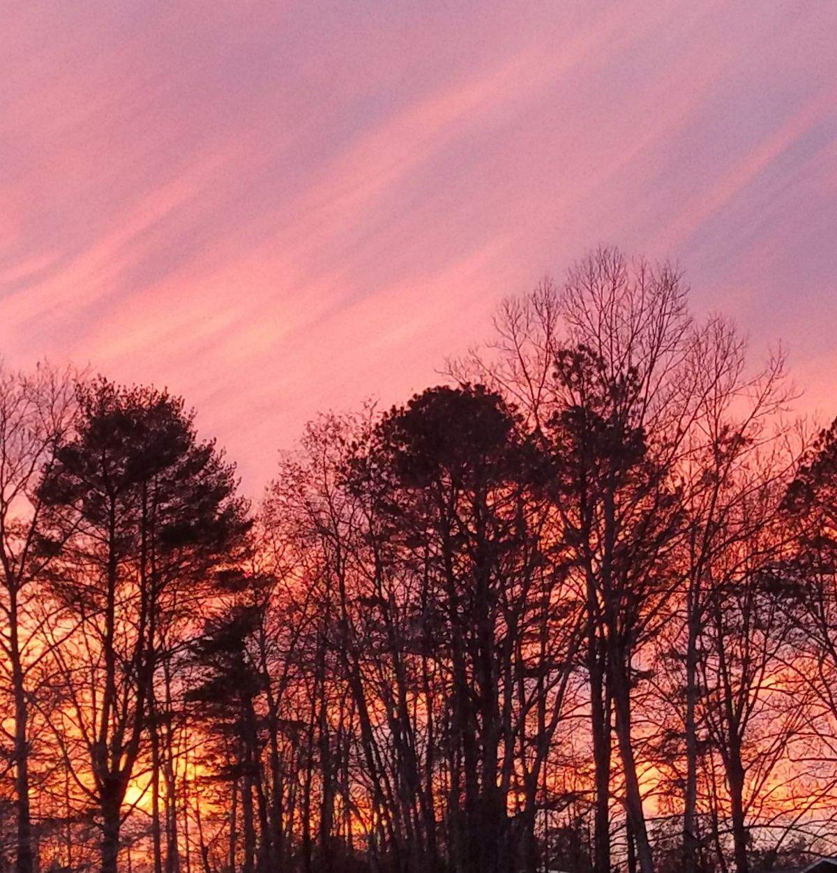 Sunset; 12-10-20.jpeg