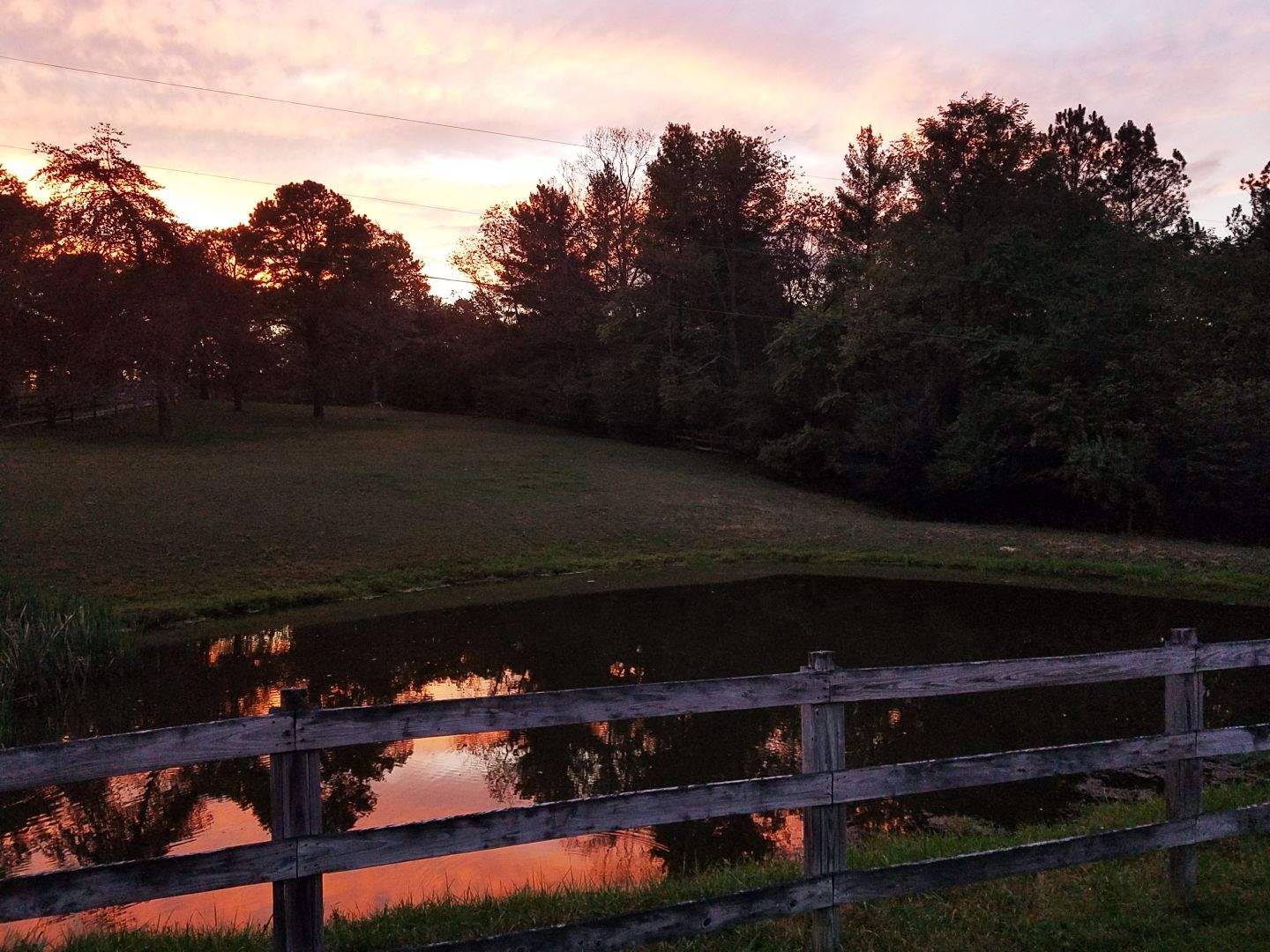 sunset; pond & fence.jpeg