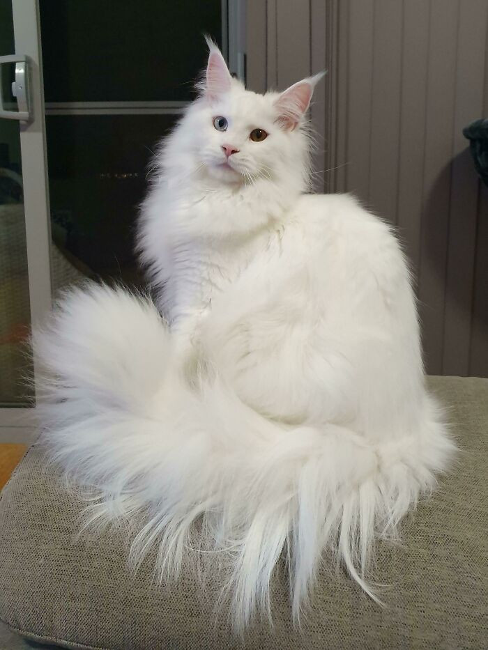 Supermodel Cloud.jpg