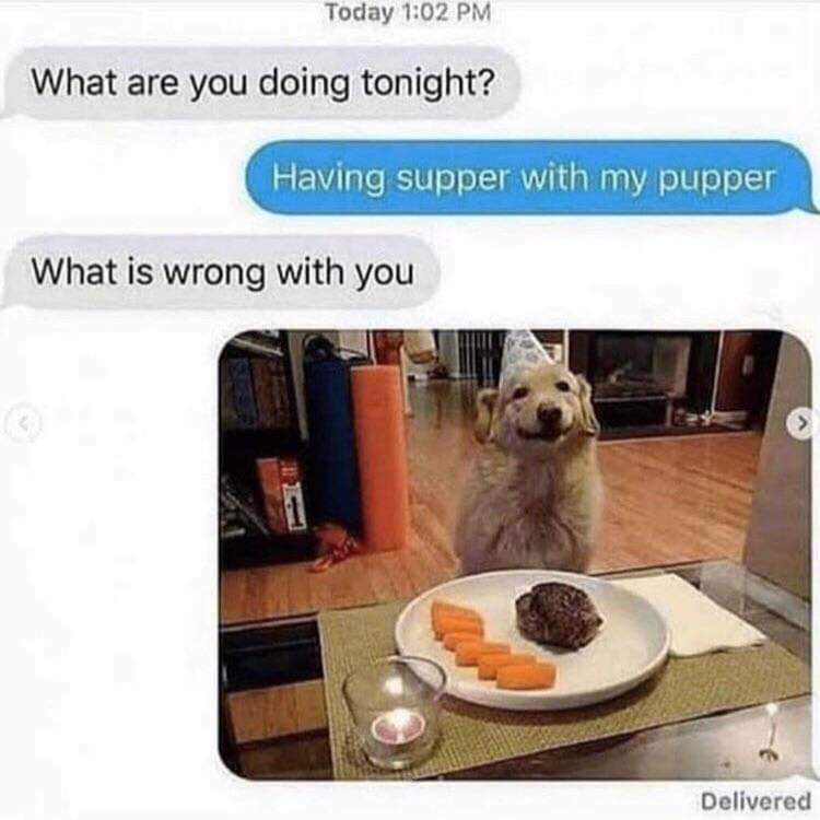 supper pupper.jpeg