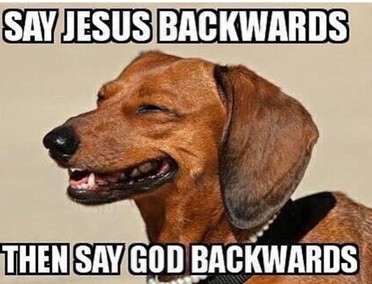 susej dog.jpg