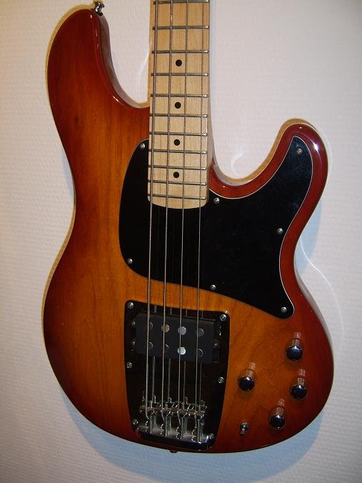 SV100830.jpg